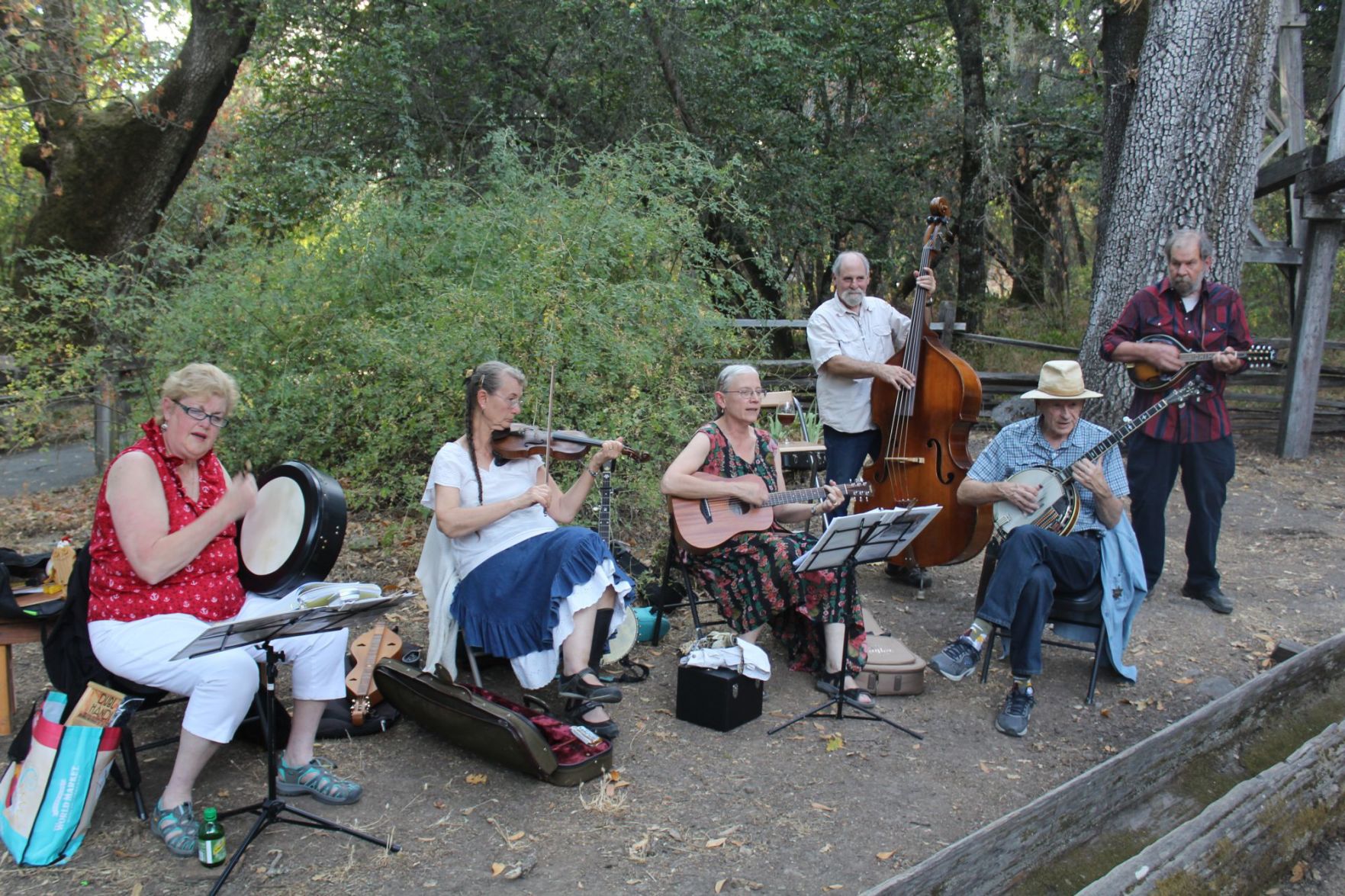 Pickle Creek String Band